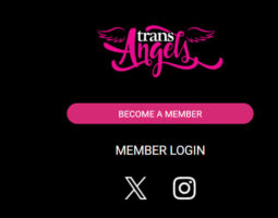 Trans Angels﻿